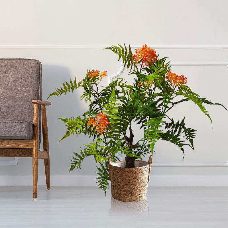 仿真植物孔雀木盆栽绿植装饰盆景客厅假植物摆件铁树商场民宿假树