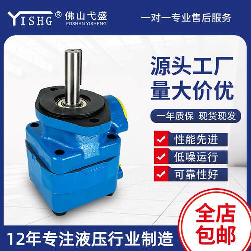 注塑机叶片油泵V20-1B6B 1B7B 1P8P 1P9P 1P13P 1S8S液压泵总成