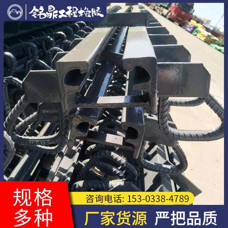 E型钢通用伸缩缝桥面梳齿板伸缩缝公路桥梁伸缩缝