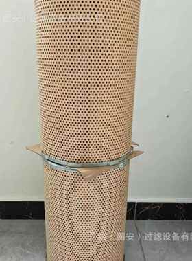 53C0616 3000501燃油滤芯FS19934 FS1959 22223804 17801-3380空