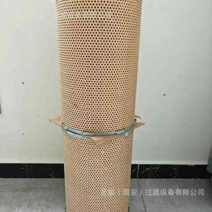 53C0616 3000501燃油滤芯FS19934 FS1959 22223804 17801-3380空