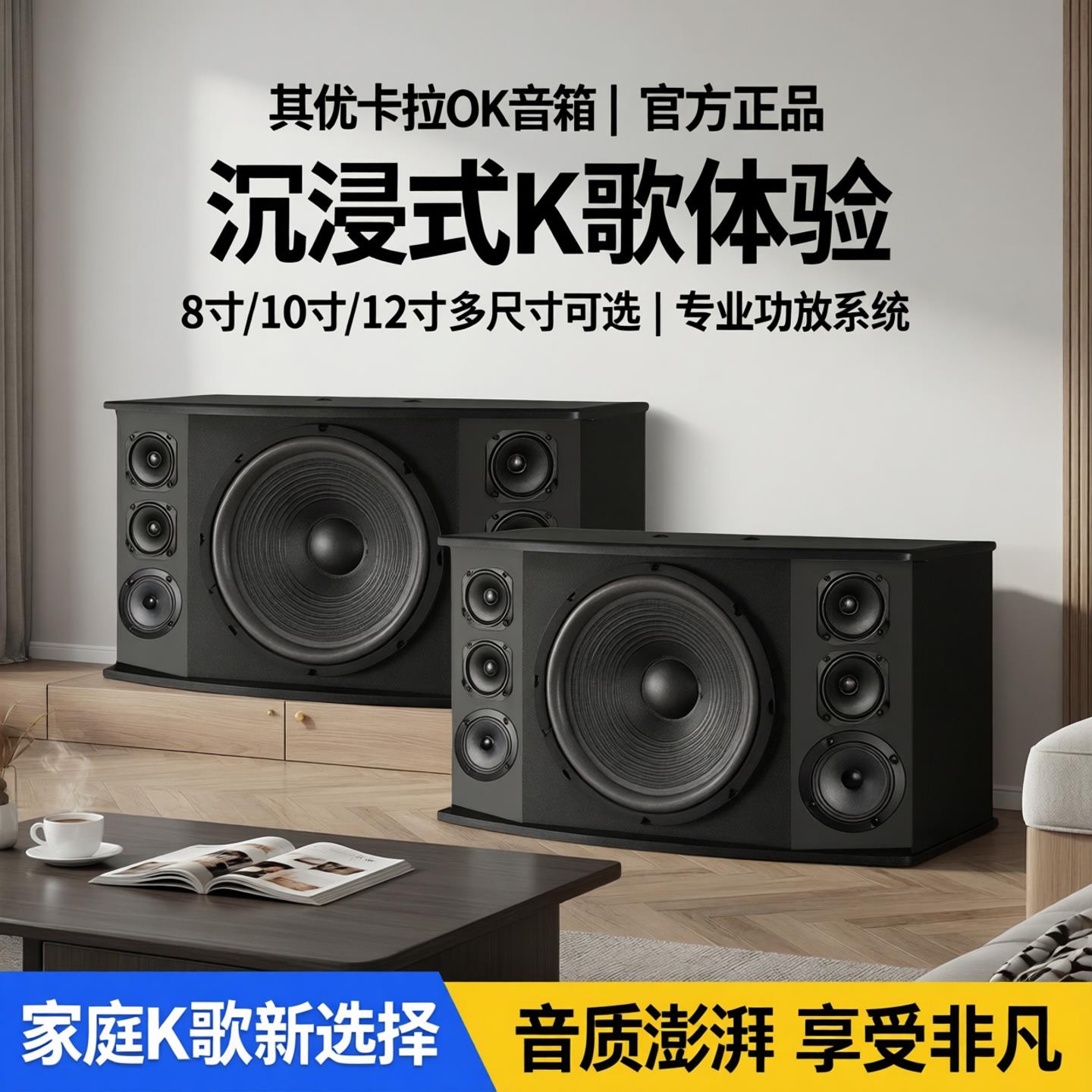 专业卡拉OK音箱KTV音响套装家用8寸10寸12寸卡包音箱功放K歌会议
