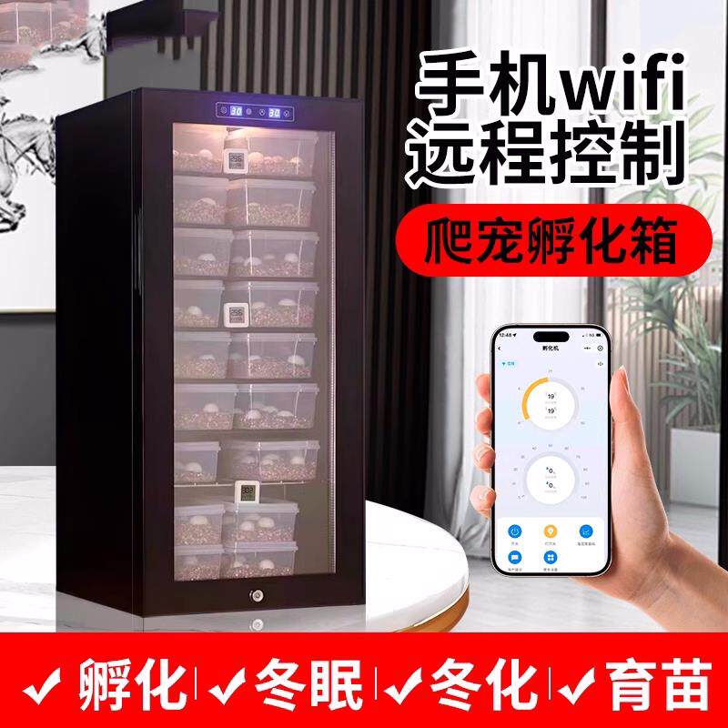 爬宠孵化箱乌龟鬃狮守宫蛇孵化机器爬虫孵化柜甲虫蚂蚁恒温孵化器