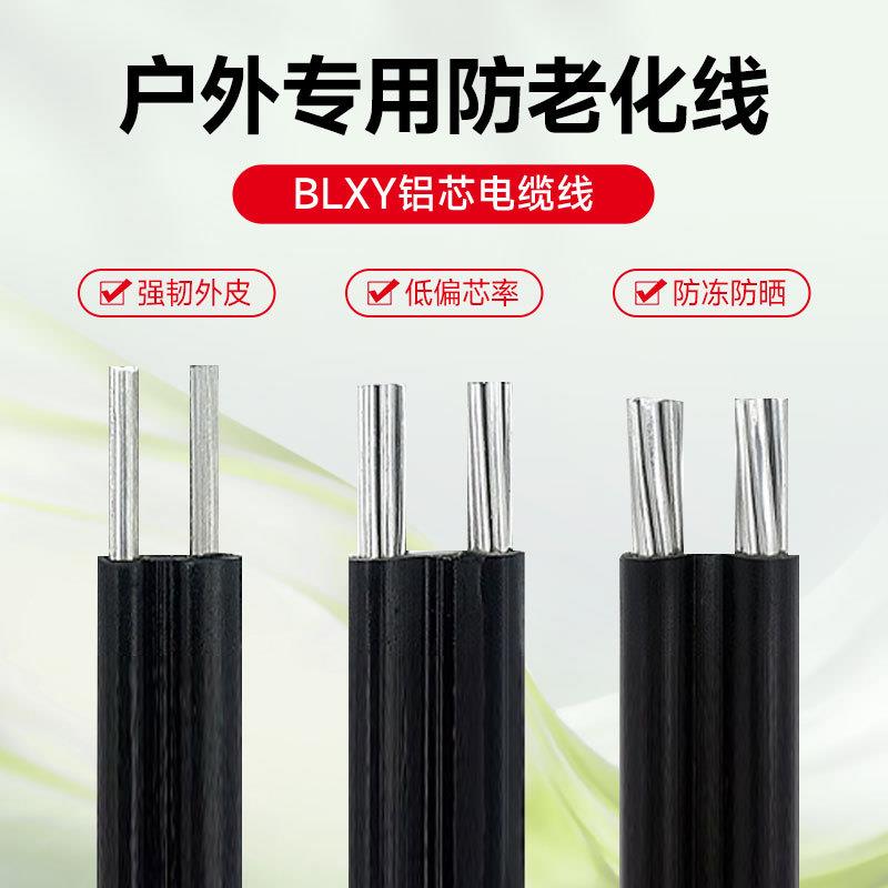 铝芯防老化电线国标铝线2芯610162535平方平行集束导电缆线