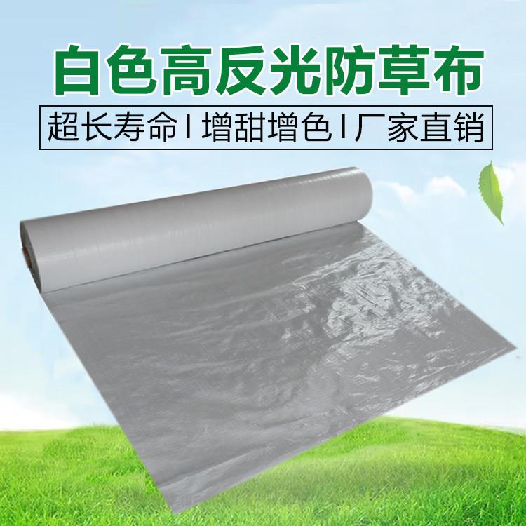 新型农用果树果园高反光白色防草布除草布耐用地膜地布增甜遮草布