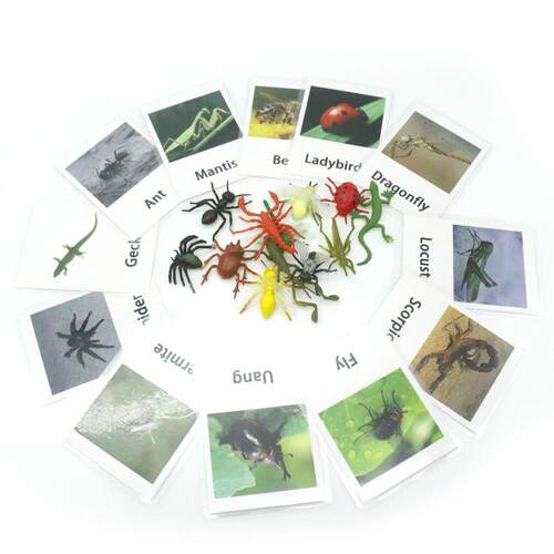 26Pcs/Set Toys/Playground/Sports Englsh Pocket Card Falsh C