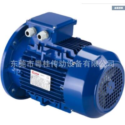 供应原装CANTONI电机