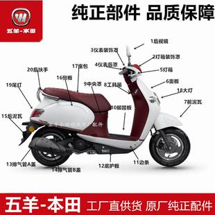 五羊塔帕外壳WH100T-2C-5A塔帕灯箱面板工具箱前泥瓦边条大灯
