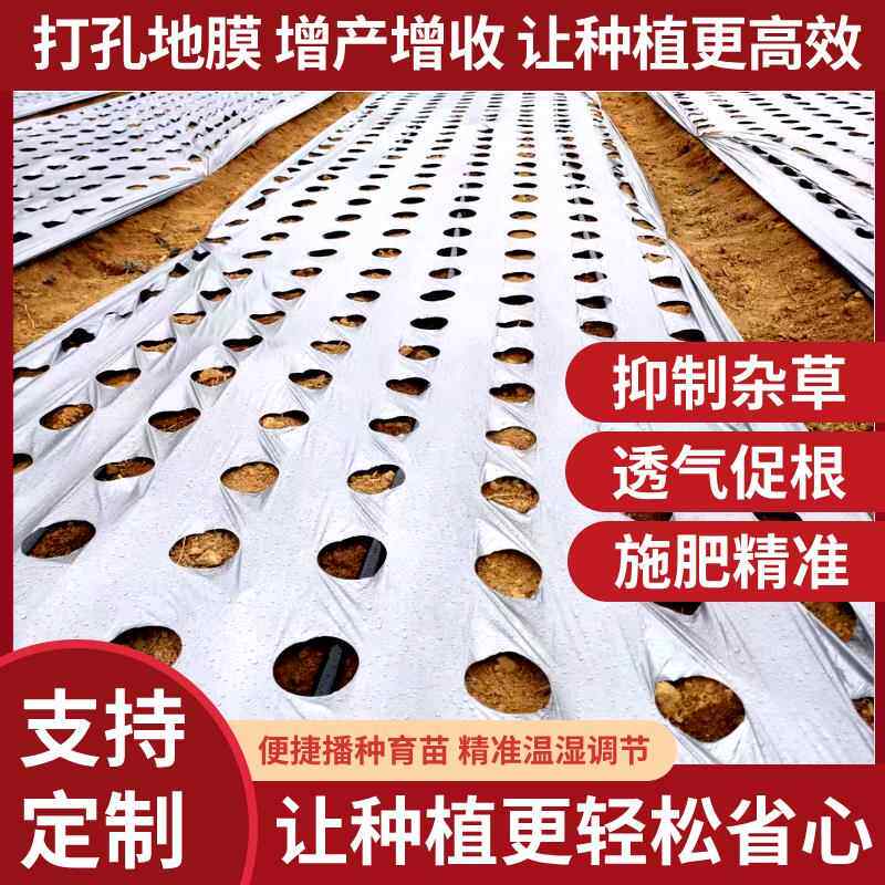 打孔银黑地膜农用打孔地膜有孔除草地膜银黑双色反光种菜专用地膜
