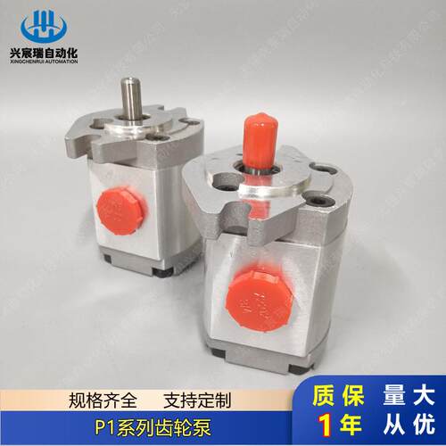 P1系列定量齿轮泵P101P102P127P135P104P105P106P107P109