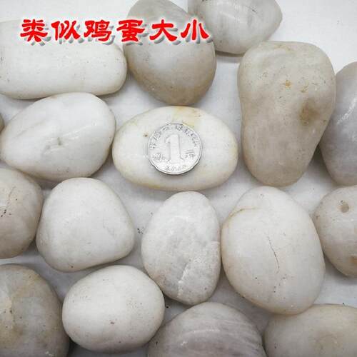 原厂色抛光鹅石雨花石铺白路石地头五彩石黑色装卵饰造景461石头