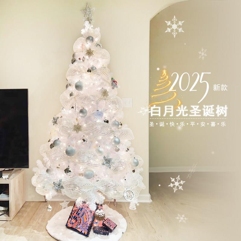 圣诞树家用大型高级感圣诞节装饰2025新款客厅diy摆件场景布置品
