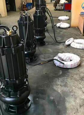 100BWQ60-13-4全保型潜水排污泵漏水漏电过载保护潜污泵增压泵