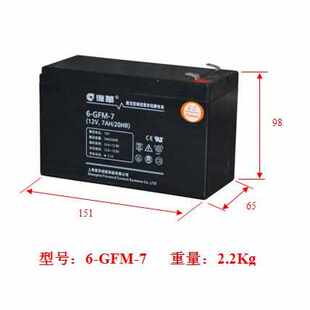 上海复华保护神蓄电池6-GFM-40/12V40AH/UPSEPS直流屏专用