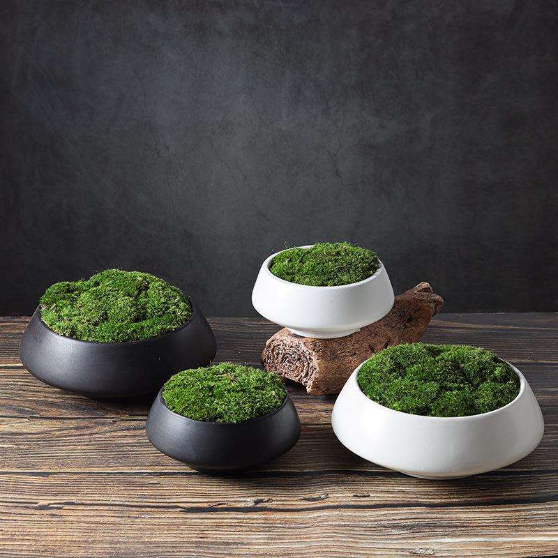 现代北欧新中式永生苔藓植物盆景家居样板房客厅书房桌面摆件花艺