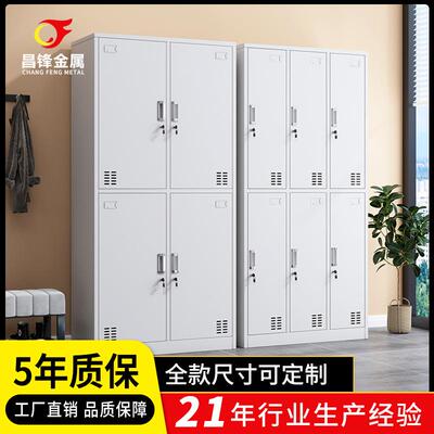 简易文件柜公室办公桌收纳柜带舍门更衣柜宿CF-2102带锁储物办柜