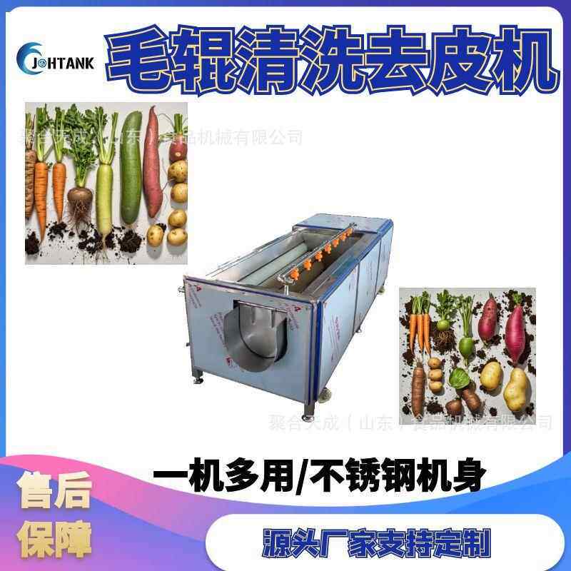商用多功能荸荠毛辊清洗机贝壳海鲜毛辊清洗机小型毛辊清洗去皮设