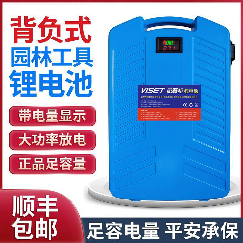 60V大容量锂电池24V48V绿篱机采茶机割草机72V水泵背负式电池
