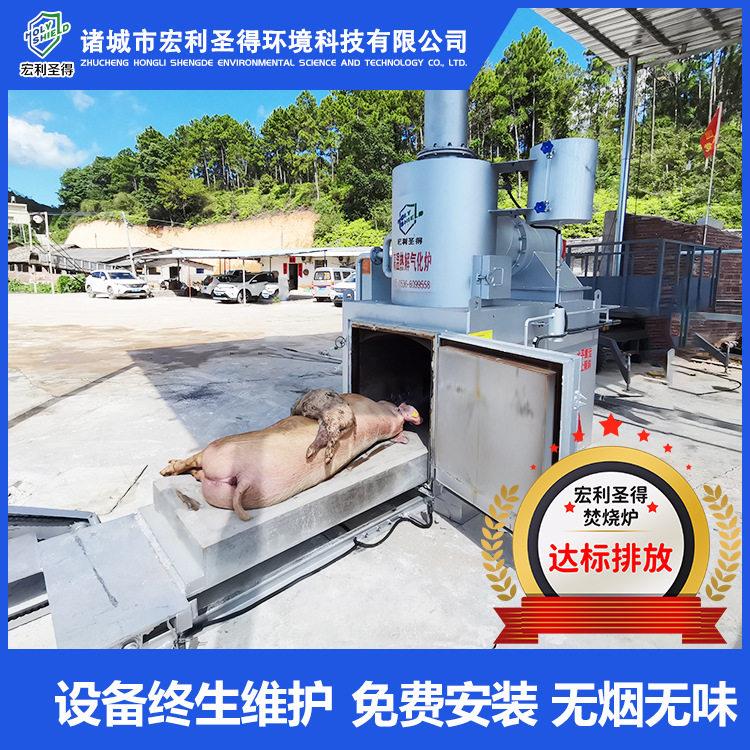 源头厂家货源屠宰场动物火化炉病死动物尸体焚烧炉宏利圣得