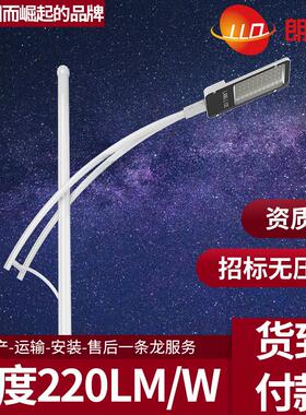 LED路灯60W00W50W200W户外道路照明高杆厂家6米8米0米2米4m