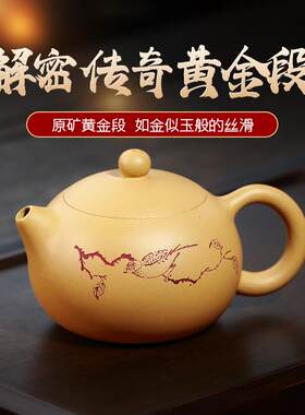 xyt 宜兴名家纯全手工紫砂壶茶壶茶具中式段泥西施