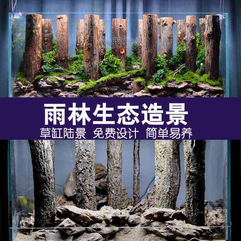 香槟木树干造景鱼缸水族箱森林直木装饰雨林水陆缸造景套餐非沉木