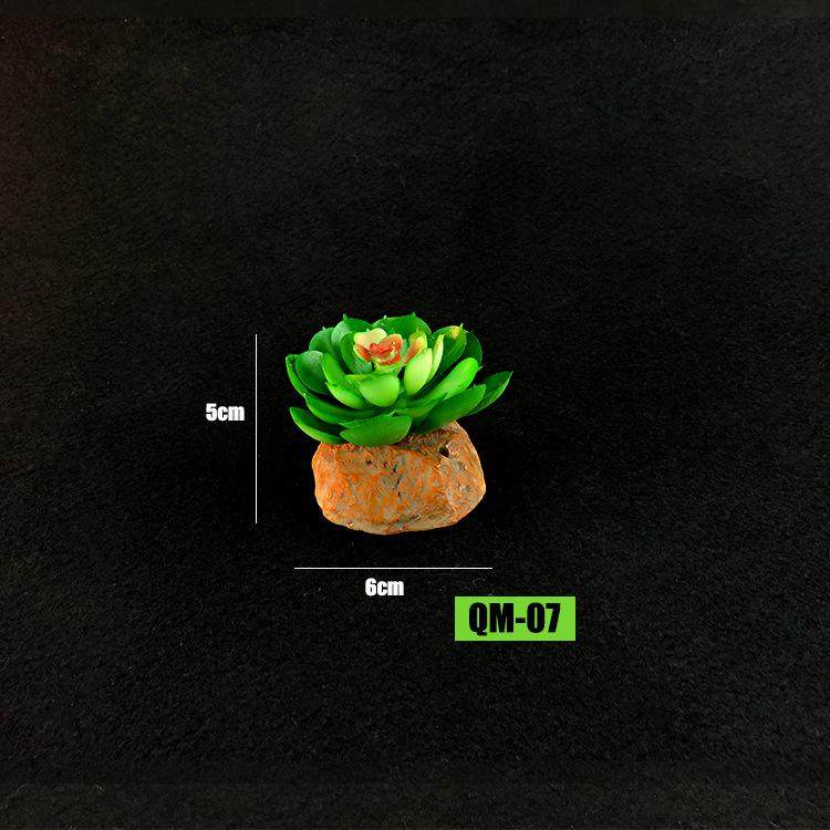 宠物蜥蜴仿真植物装饰摆件生态绿植爬虫饲养箱陆龟守宫爬宠箱造景,宠物/宠物食品及用品,玩具/造景装饰,淘宝优惠券,粉丝福利购,淘宝优惠卷