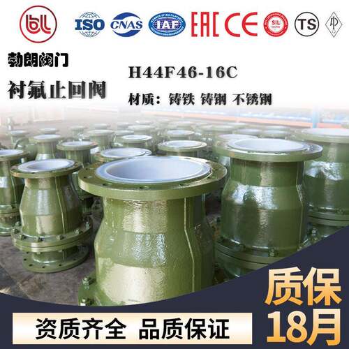 衬氟旋启式止回阀H44F46防腐蚀耐酸碱衬四氟单向阀铸钢不锈钢
