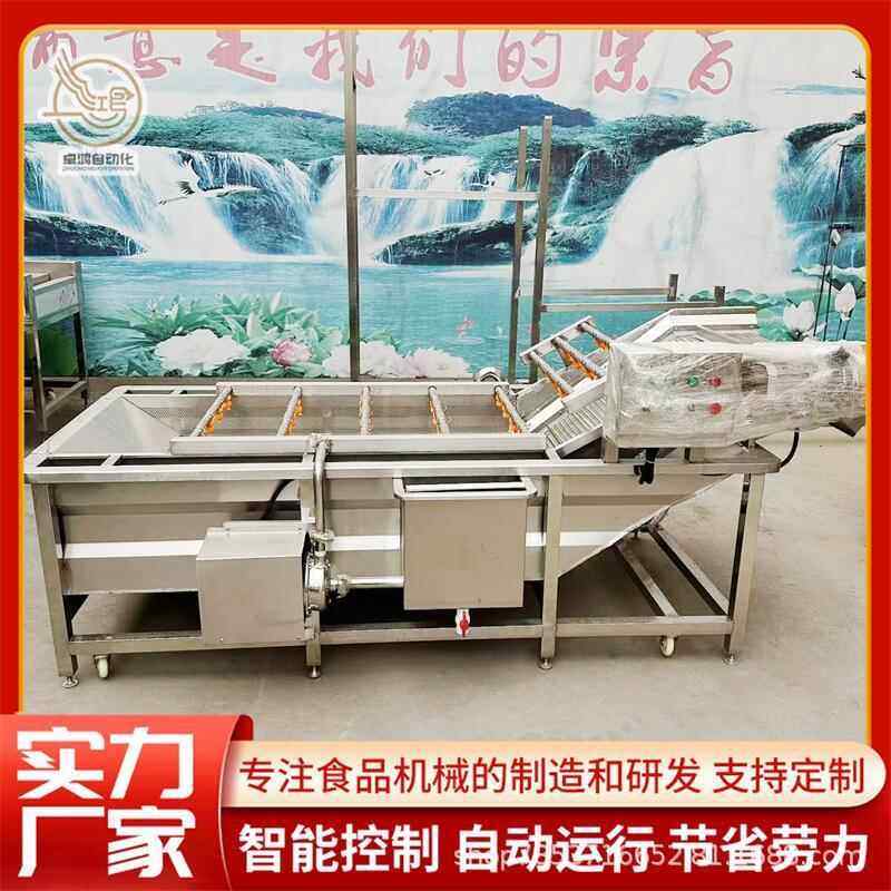连续式沙棘果清洗机多功能大型秋葵清洗设备商用韭菜花气泡清洗机