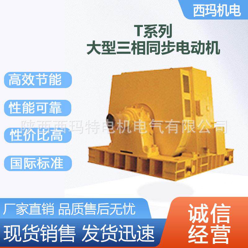 西安西玛电机T1000-36/2600 1000KW 10KV压交流三相同步电动机