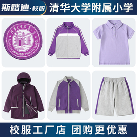 校服套装小学生紫色运动服短袖，t恤衬衣，附小棒球服小学冲锋衣