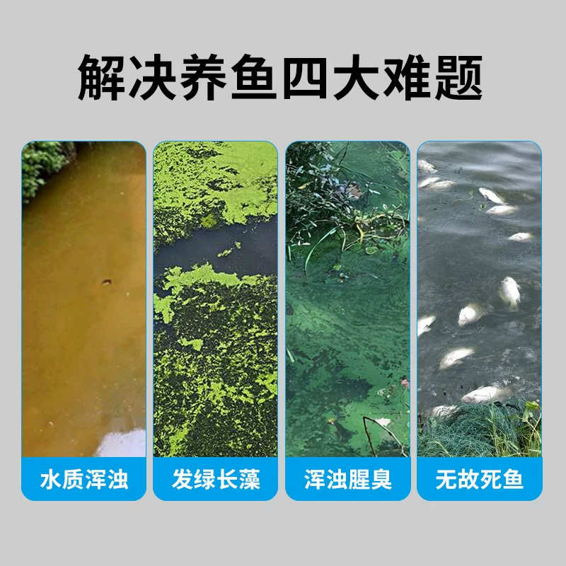 新型不锈钢鱼池过滤器外置水循环过滤系统户外大型过滤箱净水设备