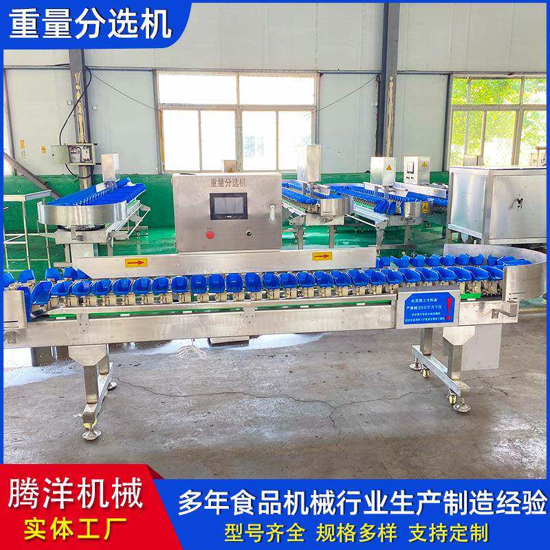 重量分选机自动在线称重系统电子皮带秤输送滚筒重量分选机