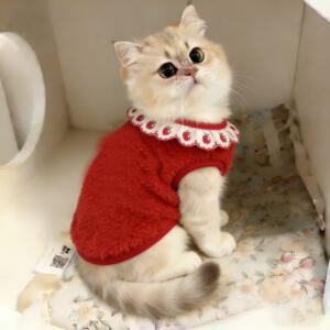猫咪新年衣服小猫过年喜庆冬装加厚保暖毛绒宠物背心防掉毛布偶猫