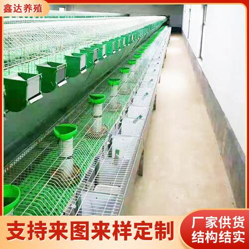 厂家供应全新欧式兔笼 养殖业易清洗欧式兔笼 结实好用欧式兔笼