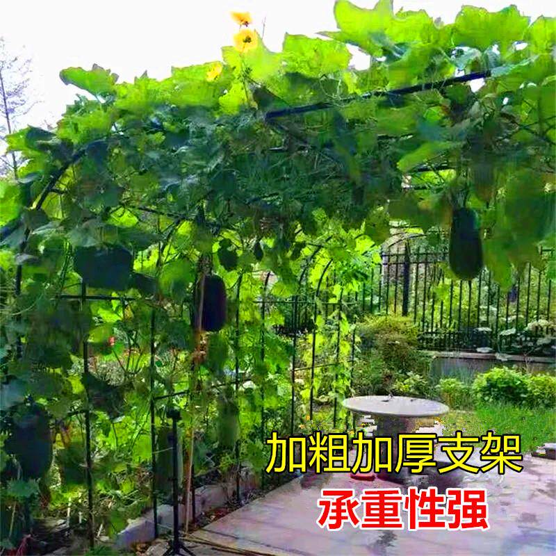 防锈拱门花架爬藤架月季蔷薇丝瓜葡萄架子户外花园庭院装饰赵之周
