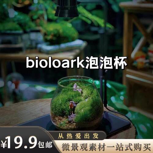 「空城里」泡泡杯苔藓桌面生态瓶微景观玻璃瓶空城里指尖微景