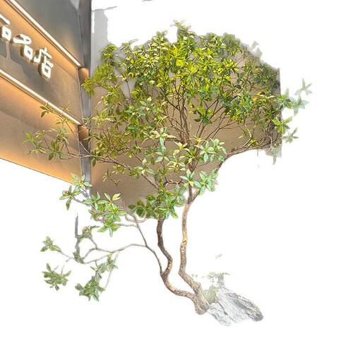 仿真绿植马醉木软装景观酒店别墅造景装饰植被室内外落地装饰假树