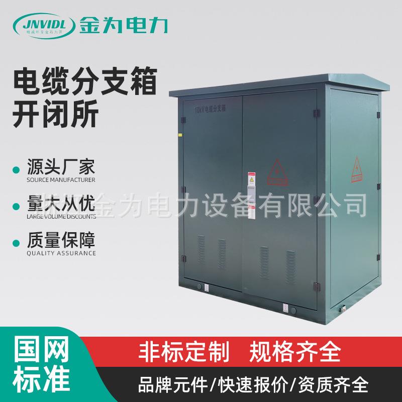 电缆分支箱-开闭所环网柜气体绝缘柜10kv开闭所5KV带开配电箱
