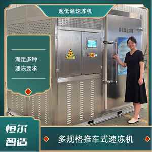 大型商用果蔬低温速冻机 多功能速冻机 肉类速冻设备 柜式速冻机