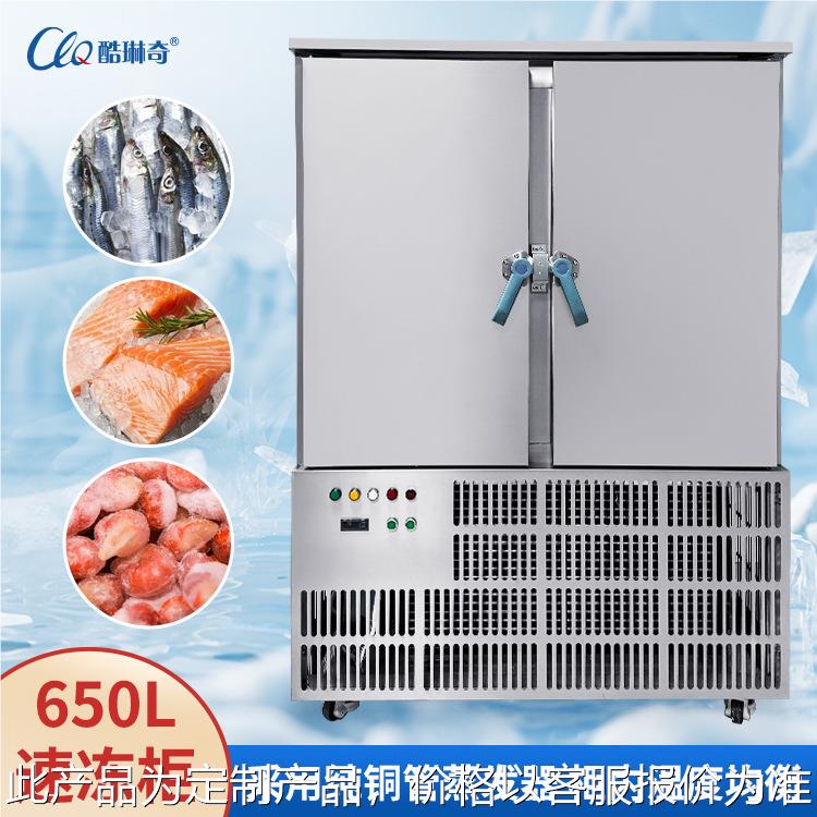 广东厂家直销血浆低温速冻柜/速冻机/双开门肉制品速冻柜