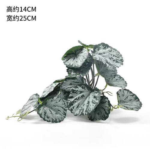 爬虫箱造景雨林沙漠仿真植物爬宠水龟箱乌龟缸陆龟箱造景绿色蜥蜴