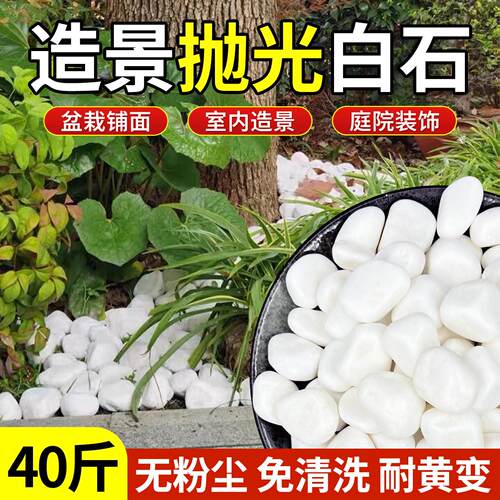 40斤装天然鹅卵石白色石子颗粒花园造景阳台小石头砾石庭院白石子