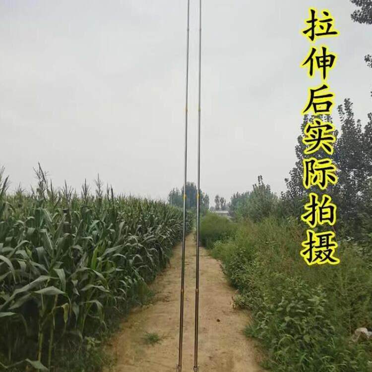 杆不锈钢鸟杆4地插撑网杆超硬伸缩捞米米5米6米防网鸟神器全套竿