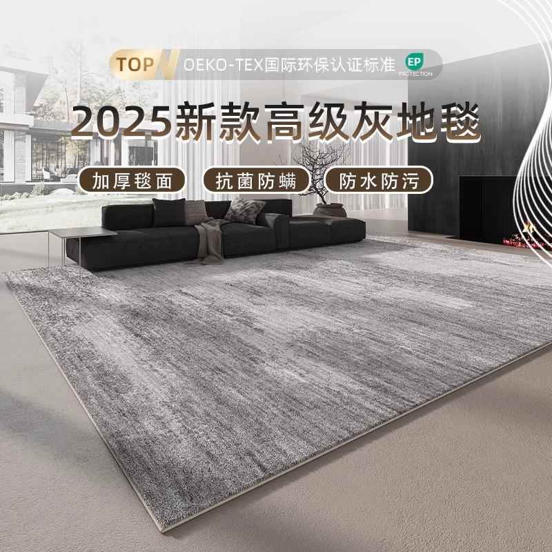 瑞士客厅地毯2025新款轻奢卧室地垫高级灰色家用沙发毯防水防污