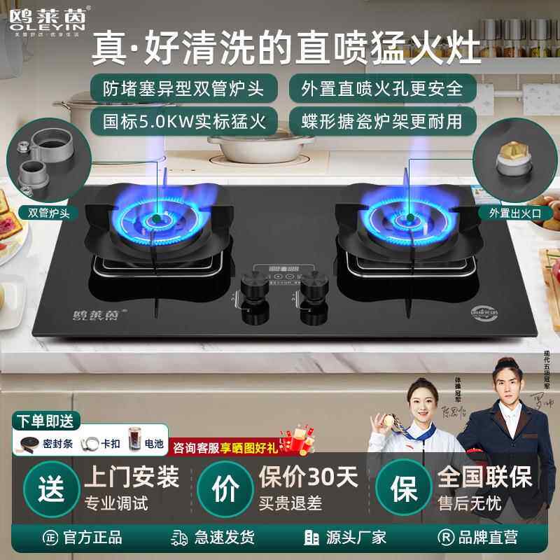 【2025新款】家用定时煤气灶直喷猛火灶易清洁双管炉头天然气双灶