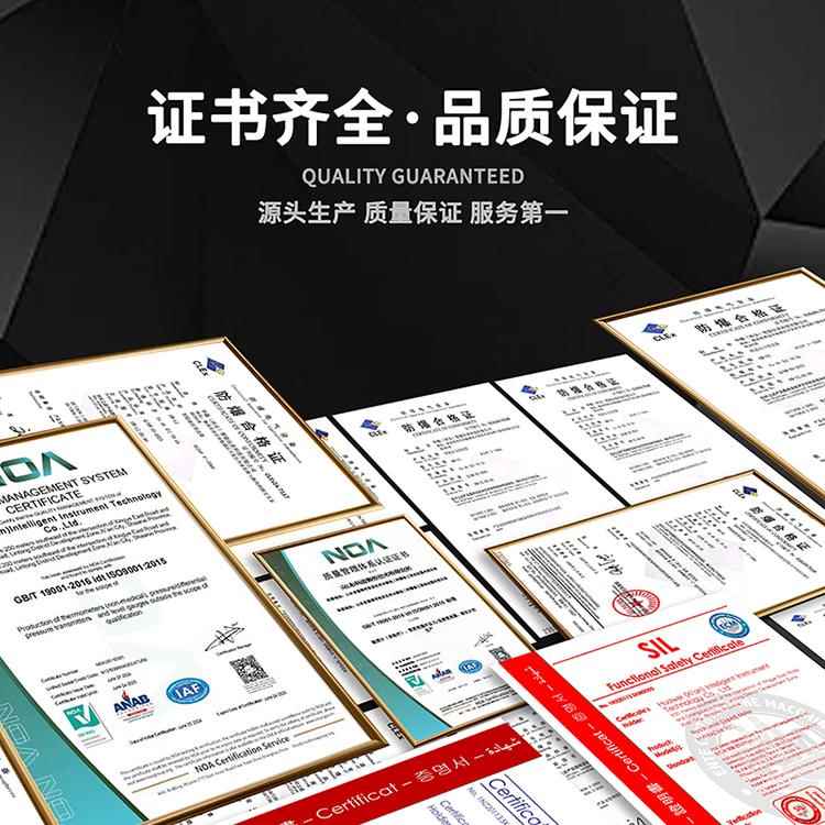 防爆磁致伸缩液位计板卡浮球液位变送器感测器远传高精度套管式