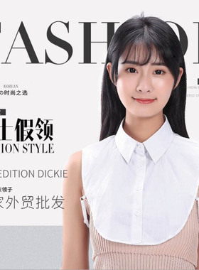 韩版纯白翻领百搭百搭女装假领