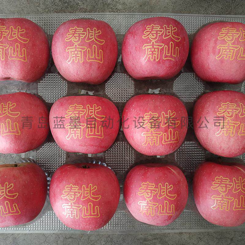 油墨印字机印刷苹果印字机打字设备厂家