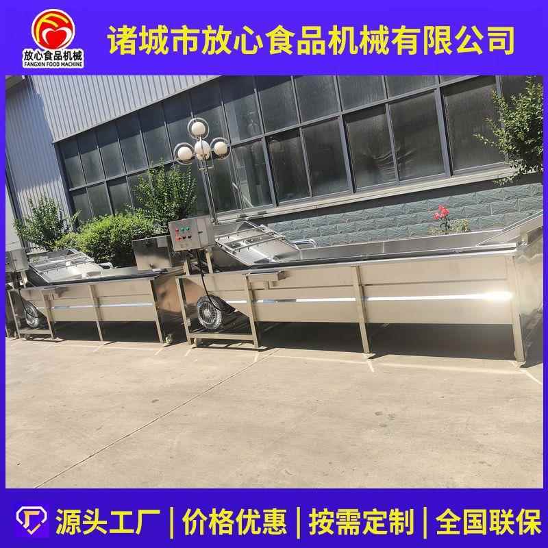 多功能气泡清机叶类蔬菜清洗机生产厂家ZSI水果蔬菜清洗洗机厂家